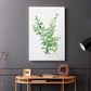 Eucalyptus III - Canvas Art Print