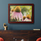 Echinacea Study II Premium Framed Canvas- Ready to Hang