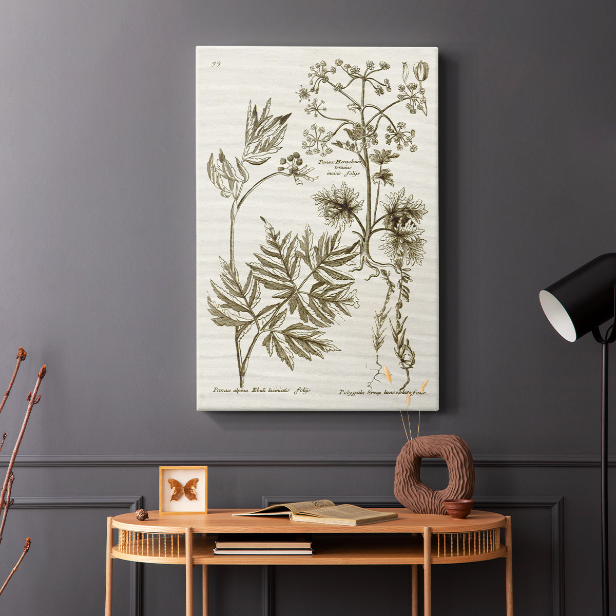 Sepia Botanical Journal III - Canvas Art Print