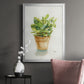 Succulent I - Modern Framed Canvas Print