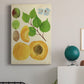 Apricot Study II Premium Gallery Wrapped Canvas - Ready to Hang