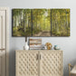 Three-panel canvas wall art featuring tree lined forest road photograph, displayed above a cabinet in an entryway.
