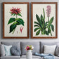 Antique Floral Folio I - Premium Framed Canvas 2 Piece Set - Ready to Hang