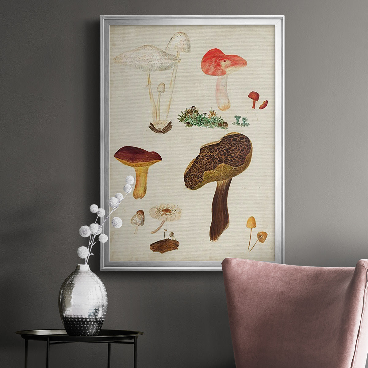 Mushroom Species XI - Modern Framed Canvas Print
