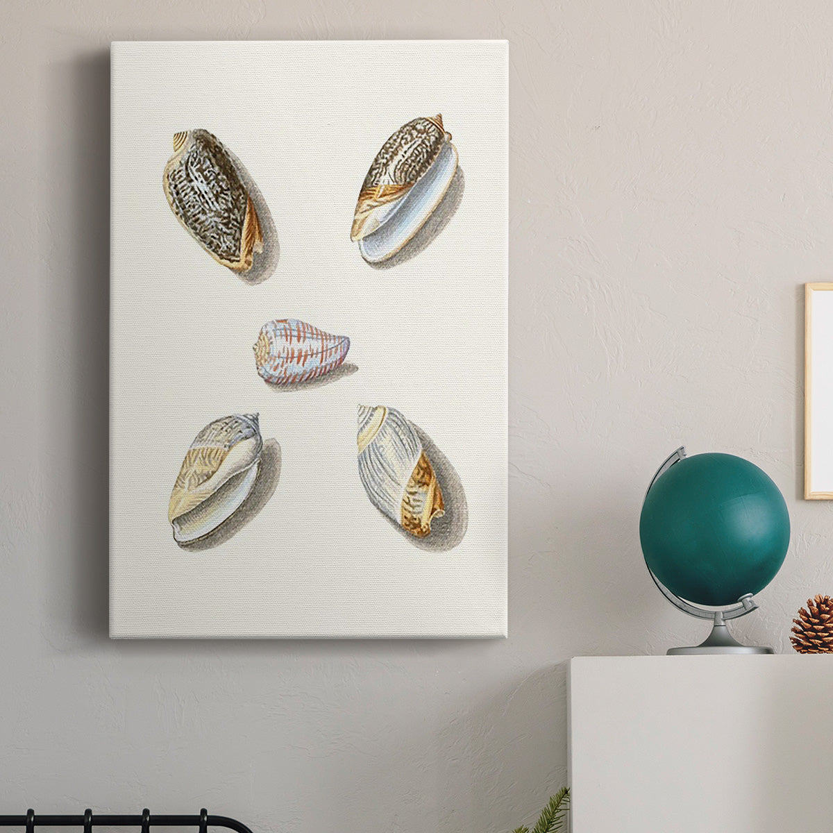 Pastel Knorr Shells III - Canvas Art Print