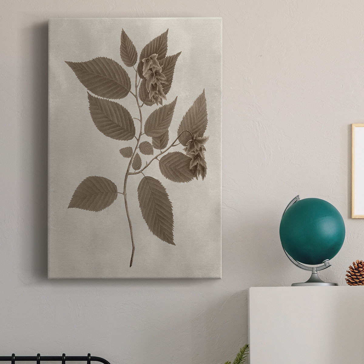 Arbor Specimen II Premium Gallery Wrapped Canvas - Ready to Hang