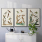 Antique Birds in Nature I - Framed Premium Gallery Wrapped Canvas L Frame 3 Piece Set - Ready to Hang