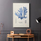 Blue Marine Algae IX - Canvas Art Print