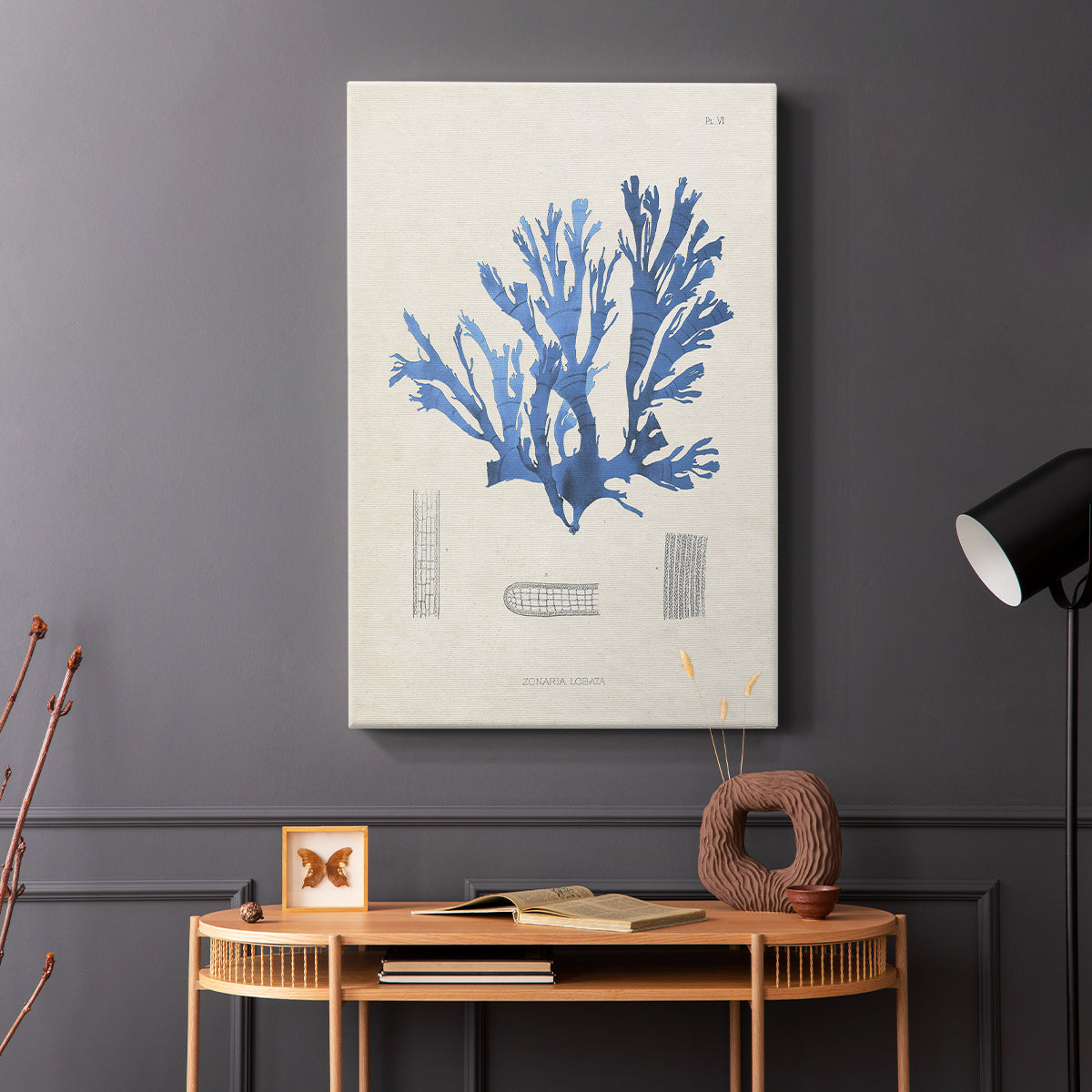 Blue Marine Algae IX - Canvas Art Print