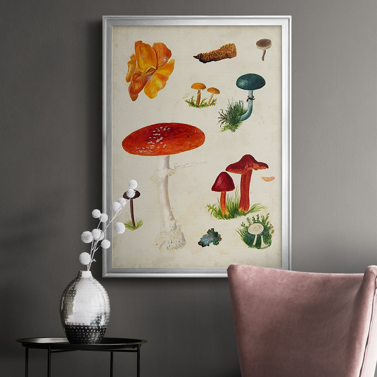 Mushroom Species VIII - Modern Framed Canvas Print