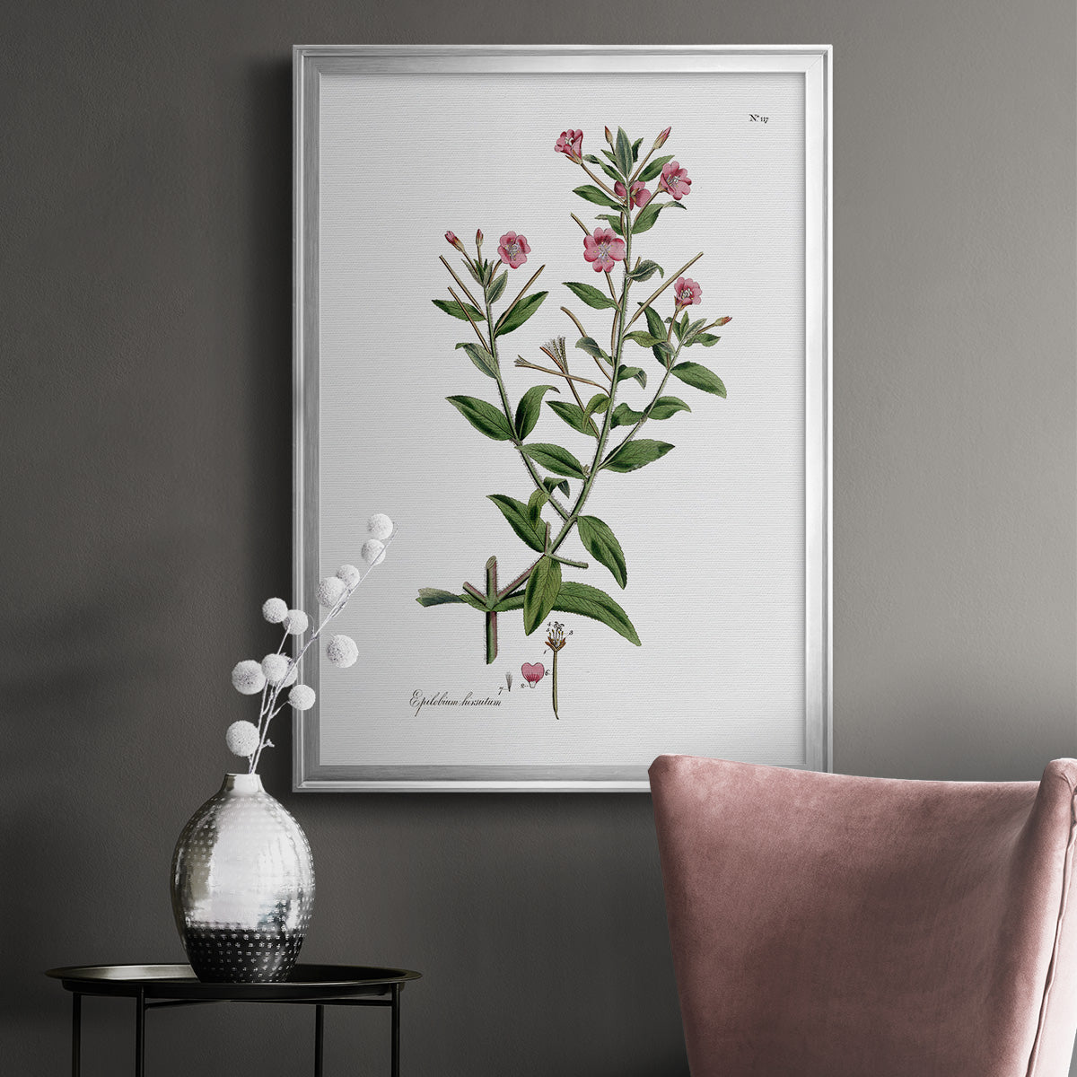 Rose Botanical III - Modern Framed Canvas Print