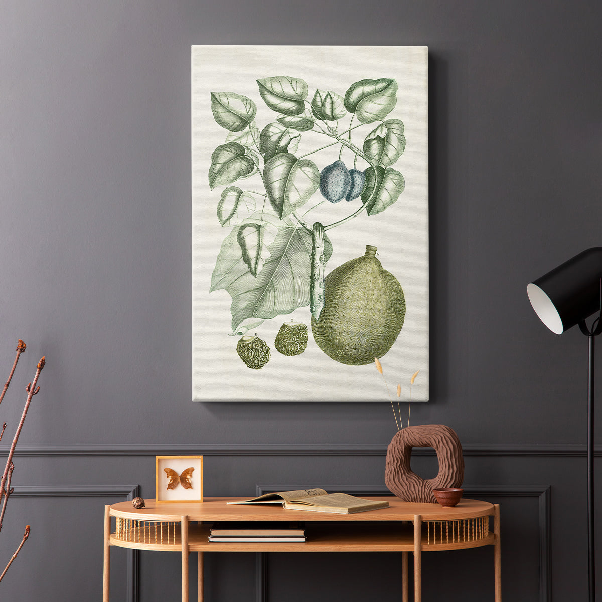 Buchoz Tropicals VIII - Canvas Art Print