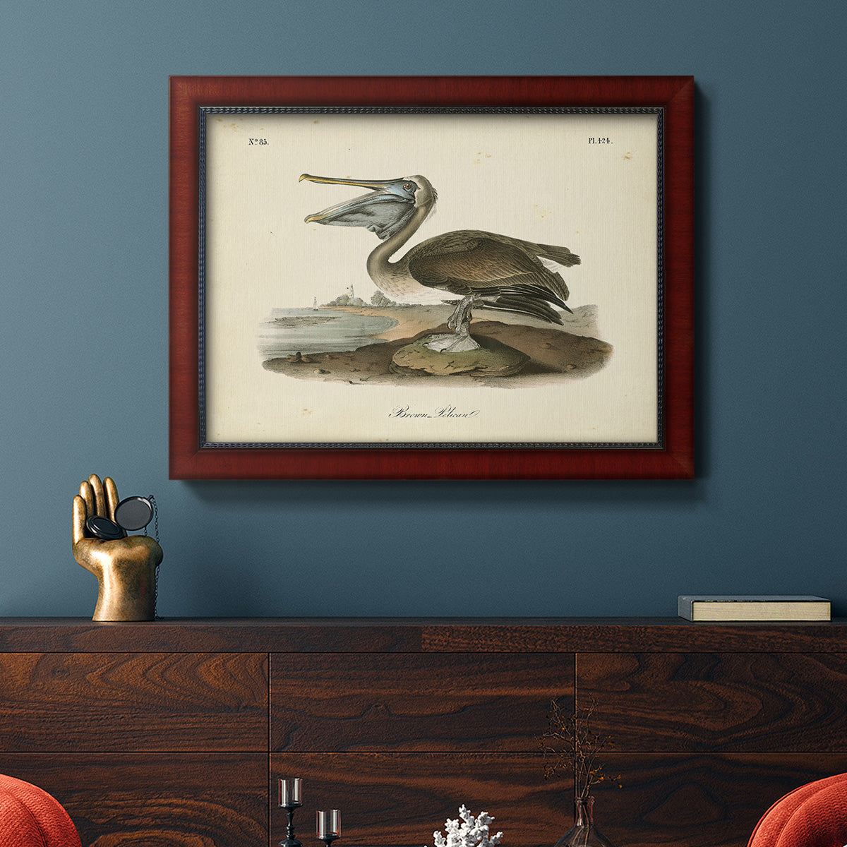 Audubons Brown Pelican - Ornate Framed Canvas Print