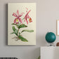 Pink Cattleya Orchid Premium Gallery Wrapped Canvas - Ready to Hang