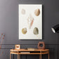 Pastel Knorr Shells IX - Canvas Art Print