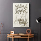 Sepia Botanical Journal VI - Canvas Art Print