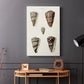 Cone Shell Collection III - Canvas Art Print