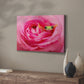 Hanging On VIII - Canvas Art Print
