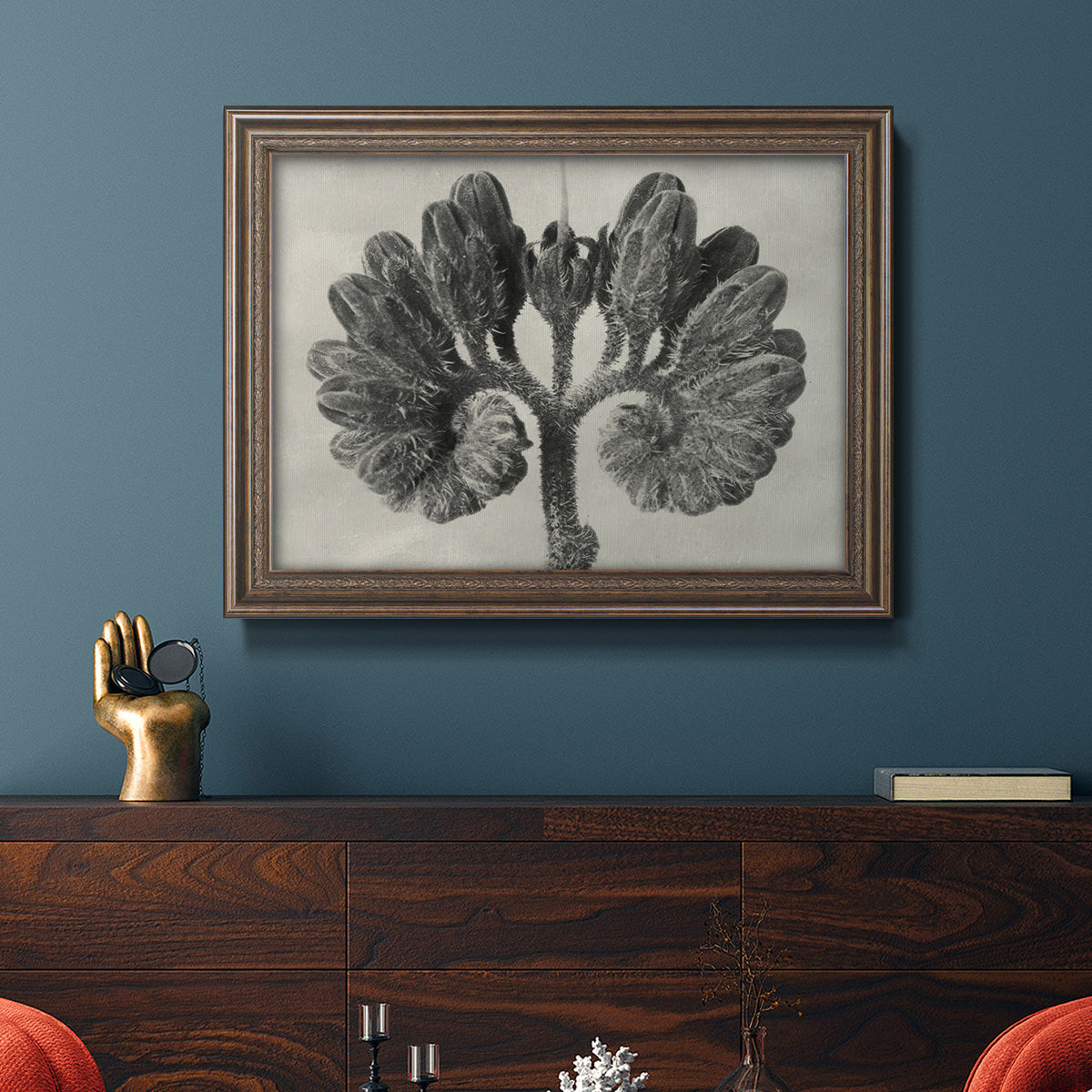 Blossfeldt Botanical VIII Premium Framed Canvas- Ready to Hang