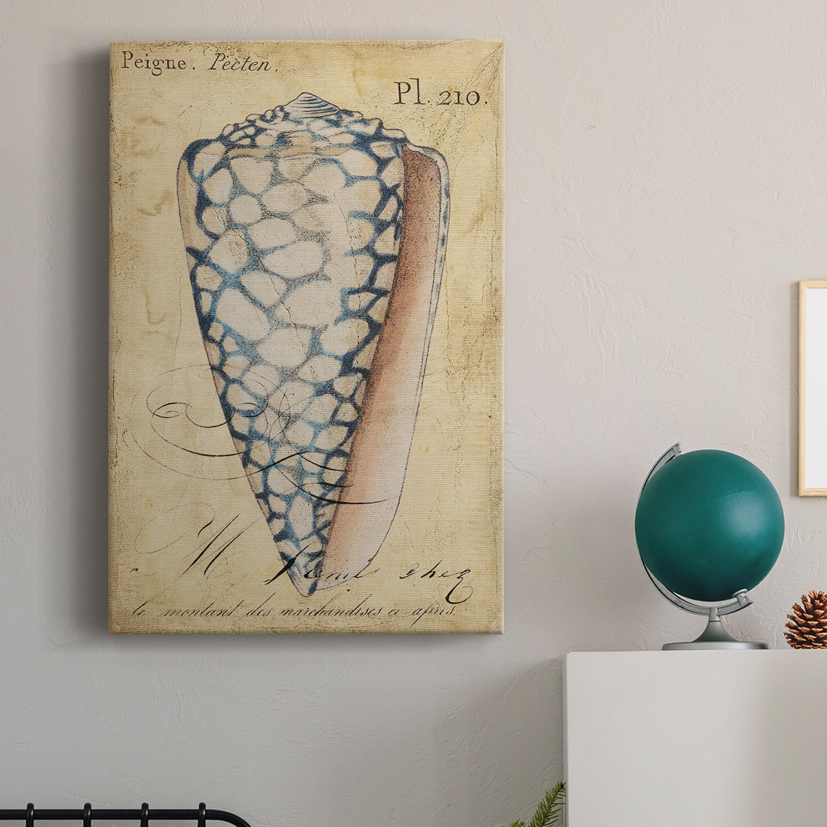 Seashell Ephemera IV Premium Gallery Wrapped Canvas - Ready to Hang