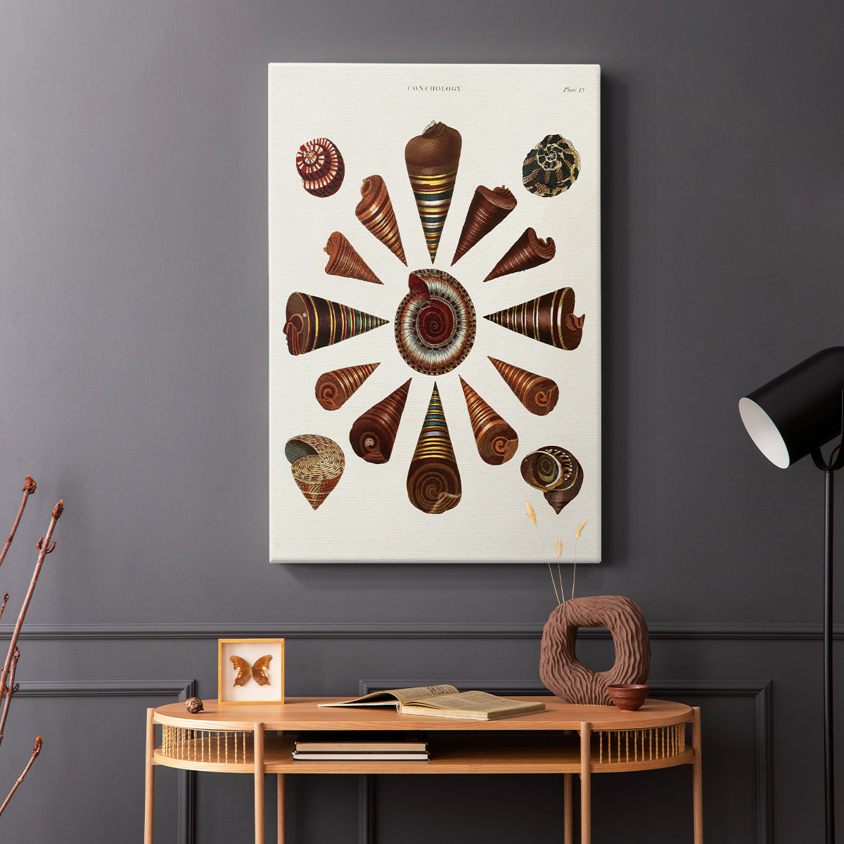 Spiral Shell Formation IV - Canvas Art Print