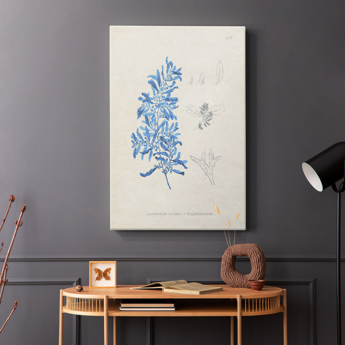 Blue Marine Algae VI - Canvas Art Print