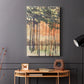 Between the Trees II - Canvas Art Print