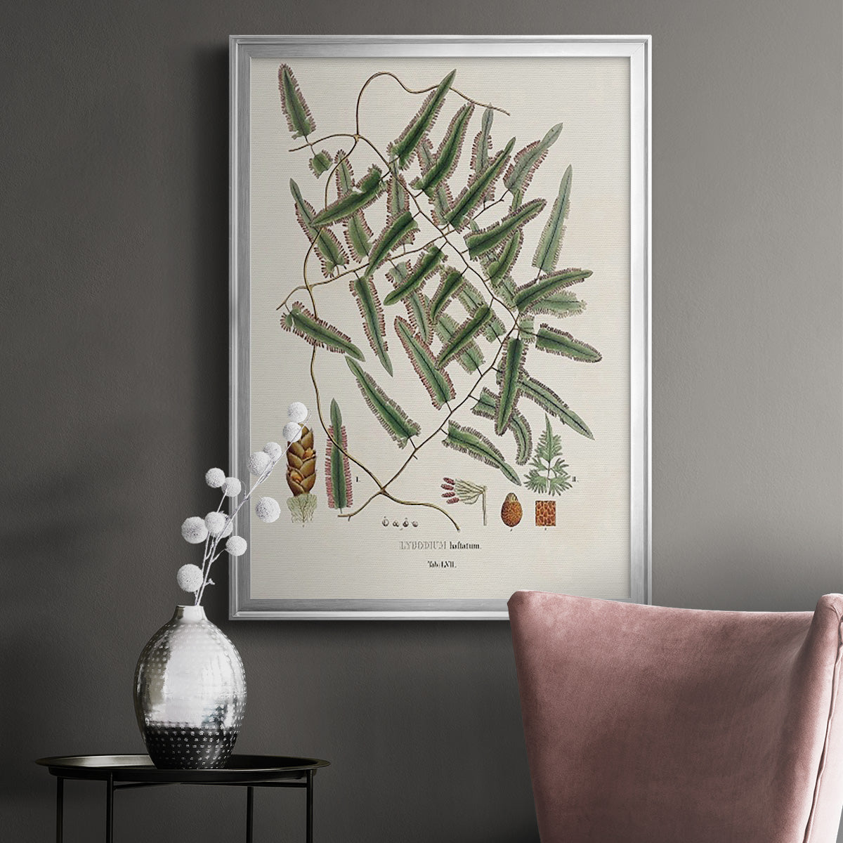 Botanical Society Ferns X - Modern Framed Canvas Print