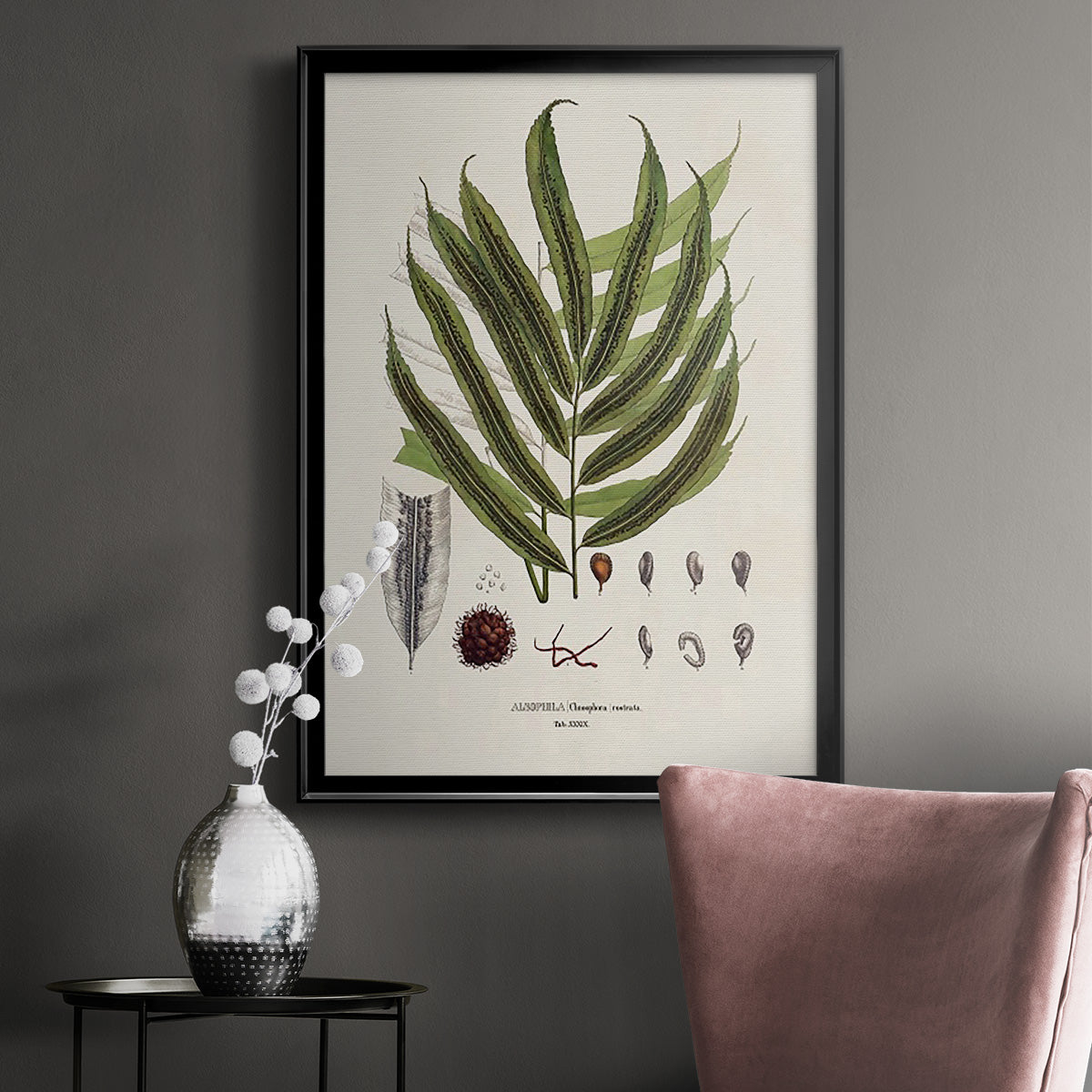 Botanical Society Ferns II - Modern Framed Canvas Print