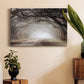 Timeless Plantation Drive Premium Gallery Wrapped Canvas - Ready to Hang