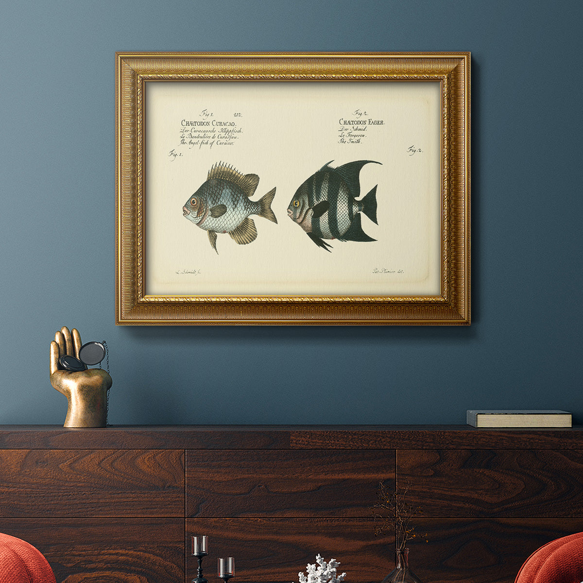 Bloch Antique Fish II Premium Framed Canvas- Ready to Hang