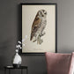 French Owls III - Modern Framed Canvas Print