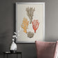 Knorr Shells & Coral IV - Modern Framed Canvas Print