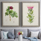 Set of two gray barnwood framed canvas prints depicting paired vintage botanical plate illustrations with peonies thistles leafy stems and archival cream paper above a sofa in a contemporary living room.