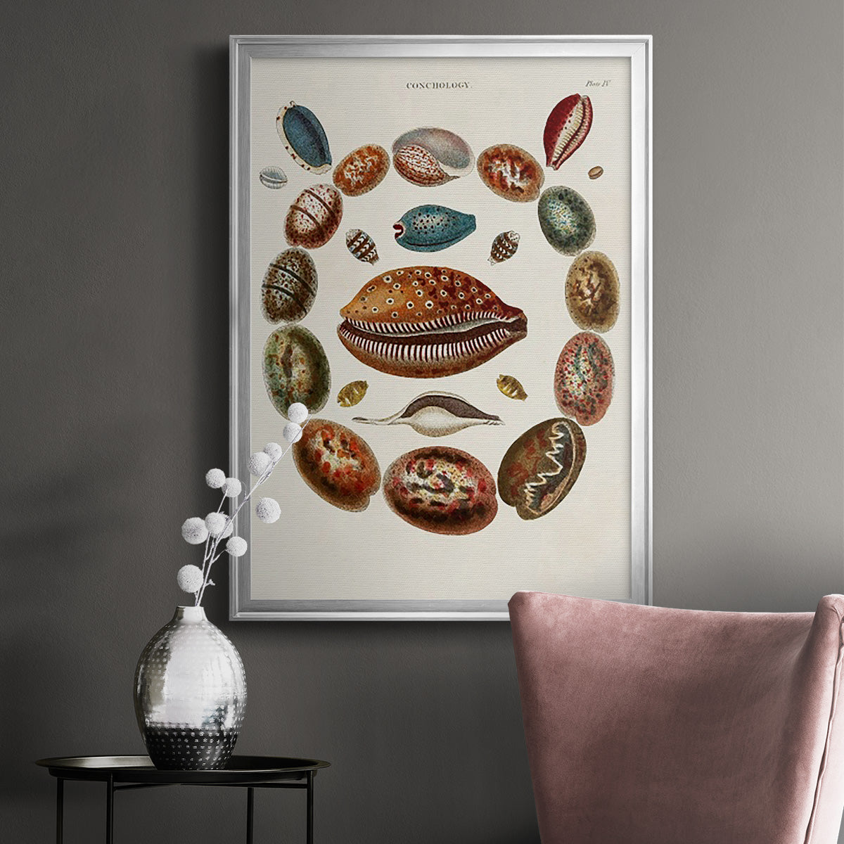 Spiral Shell Formation II - Modern Framed Canvas Print