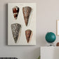 Cone Shell Collection I Premium Gallery Wrapped Canvas - Ready to Hang