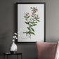 Rose Botanical III - Modern Framed Canvas Print