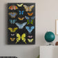 Graphic Butterfly Taxonomy II Premium Gallery Wrapped Canvas - Ready to Hang