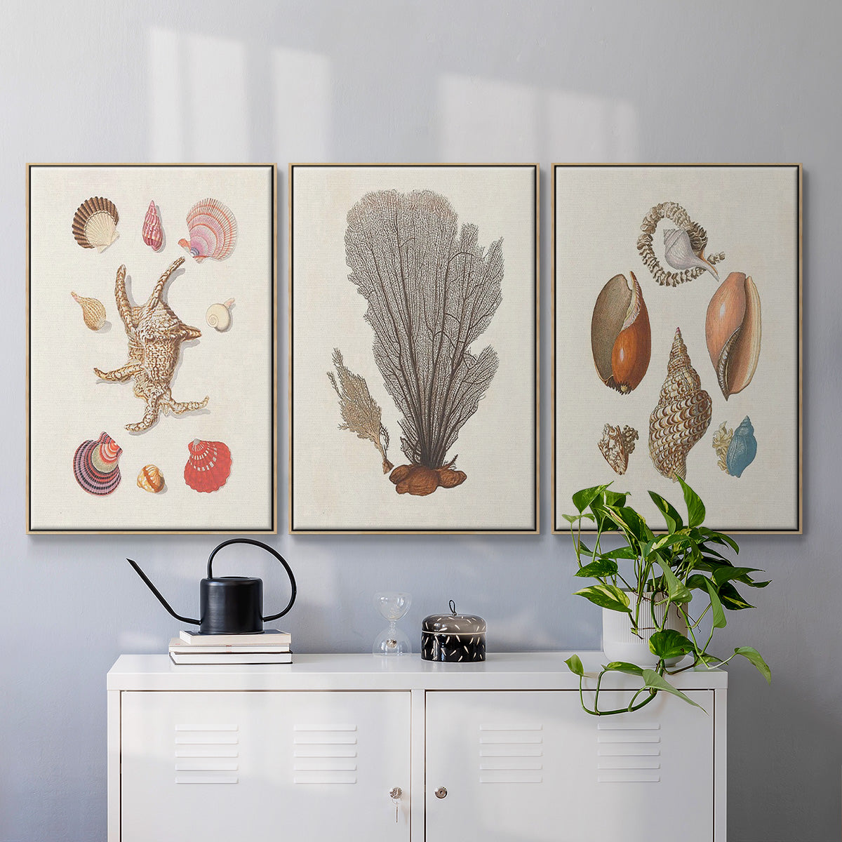 Knorr Shells & Coral I - Framed Premium Gallery Wrapped Canvas L Frame 3 Piece Set - Ready to Hang