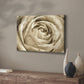 Neutral Wall Flower IV - Canvas Art Print