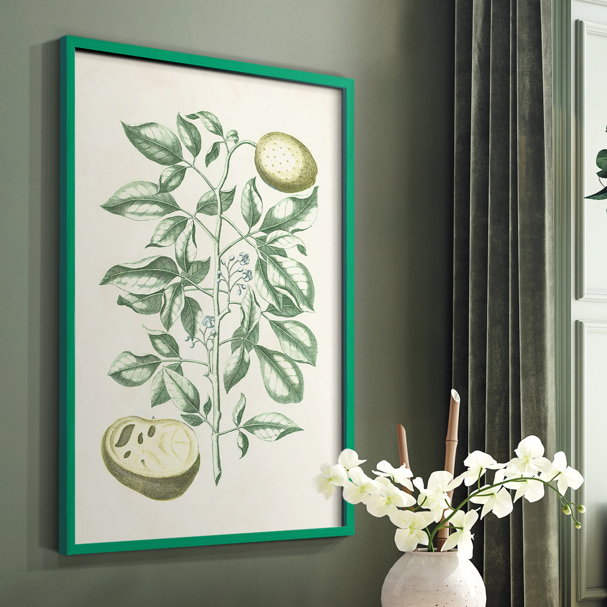 Buchoz Tropicals III - Restickable Framed Art Print