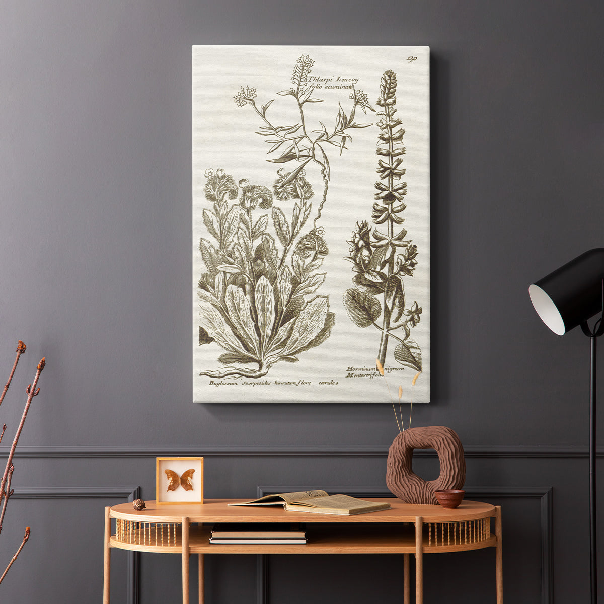 Sepia Botanical Journal IV - Canvas Art Print