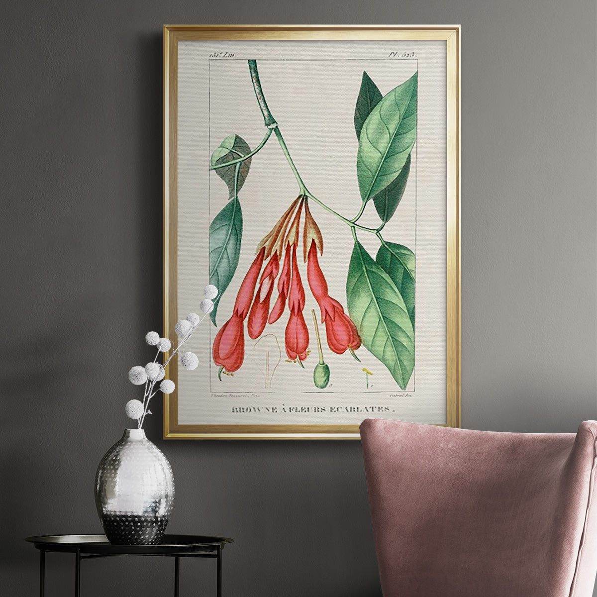 Turpin Tropical Botanicals I - Modern Framed Canvas Print