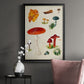 Mushroom Species VIII - Modern Framed Canvas Print