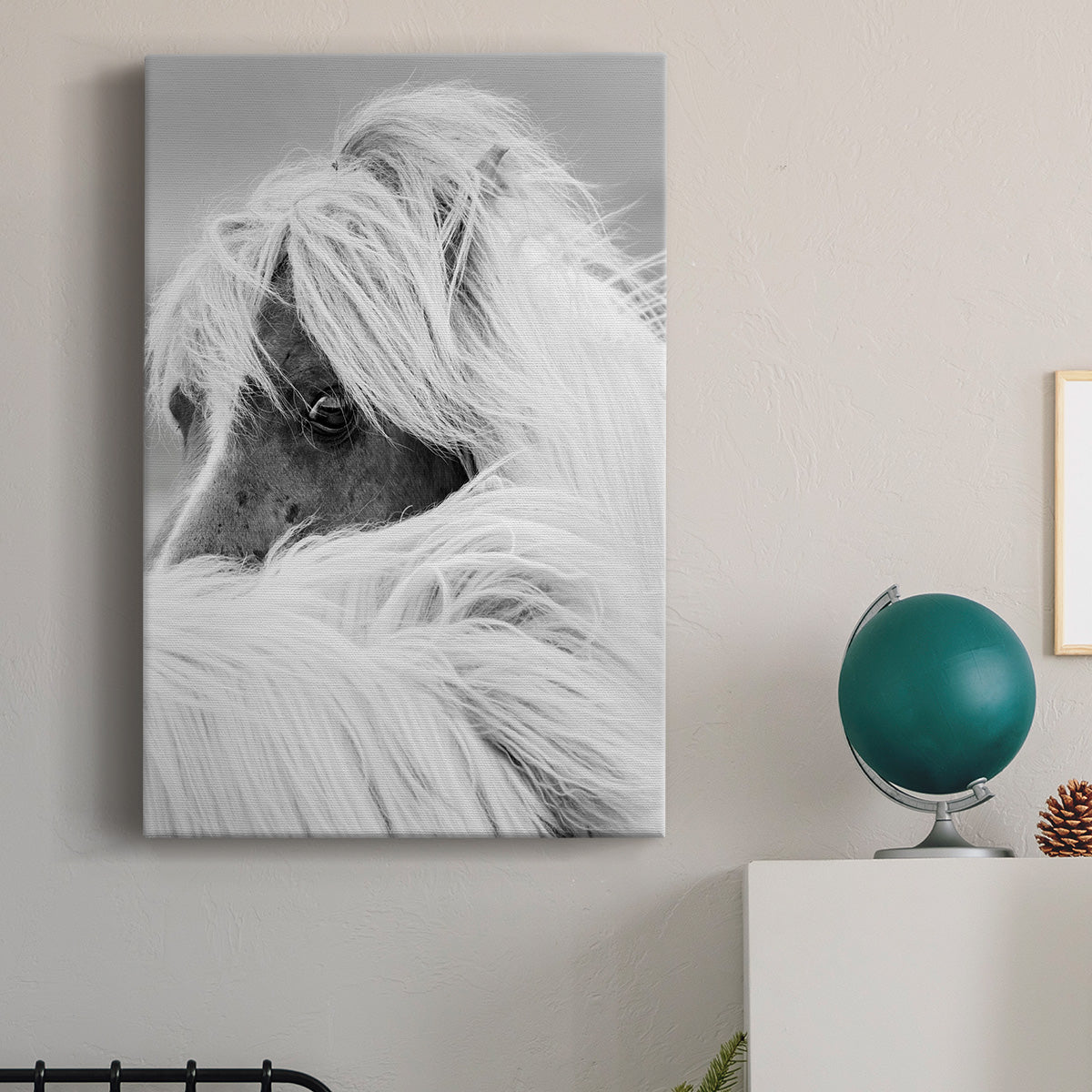 Island Pony II - Canvas Art Print