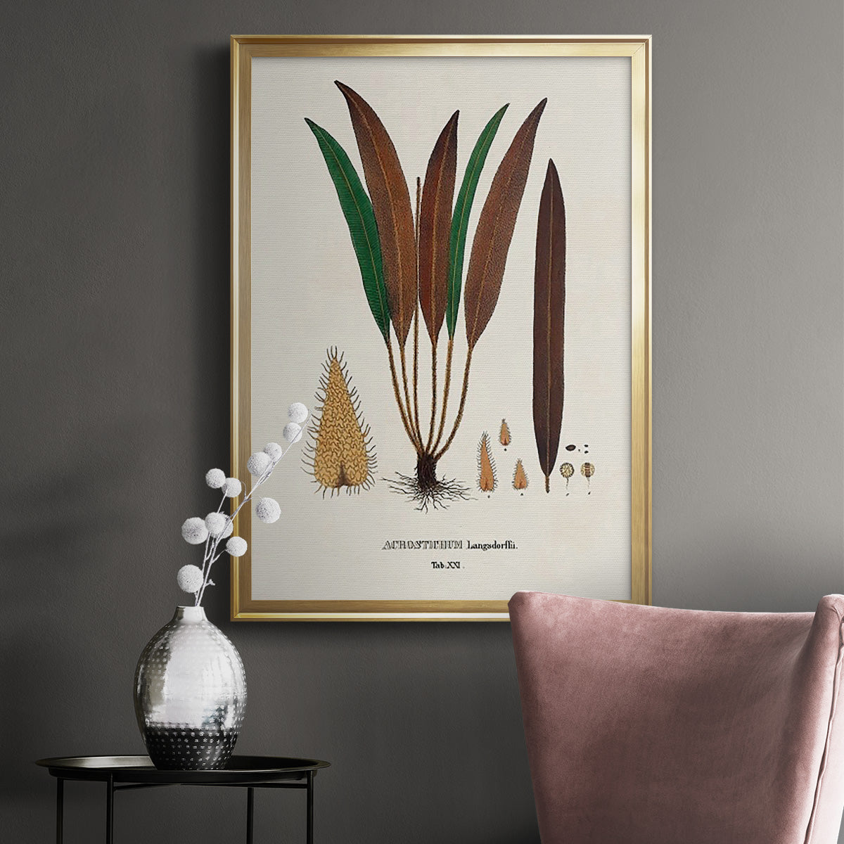 Botanical Society Ferns I - Modern Framed Canvas Print