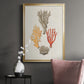 Knorr Shells & Coral IV - Modern Framed Canvas Print