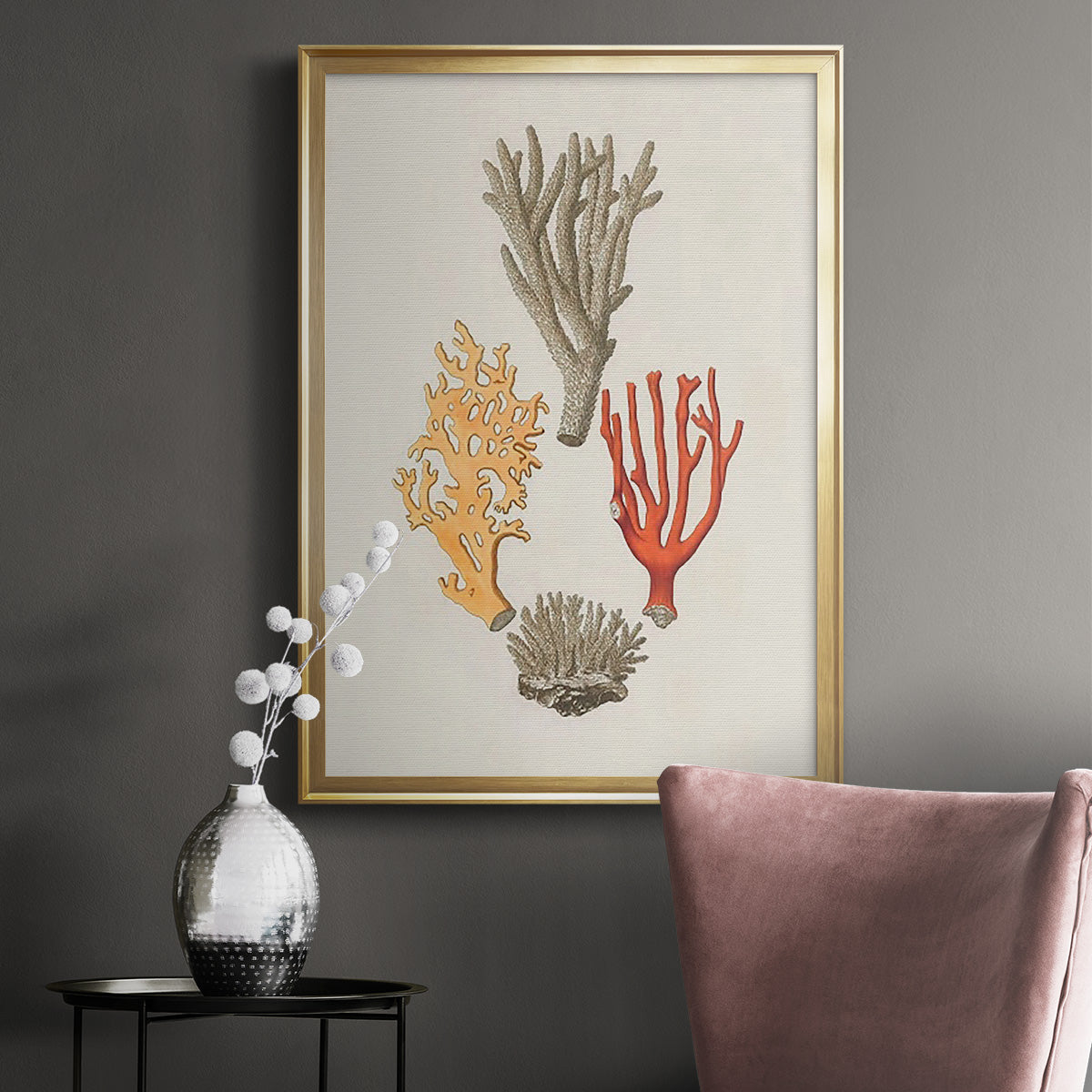 Knorr Shells & Coral IV - Modern Framed Canvas Print