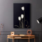 Tulip Pose III - Canvas Art Print