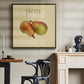 Italian Fruit II-Premium Gallery Wrapped Canvas - Ready to Hang